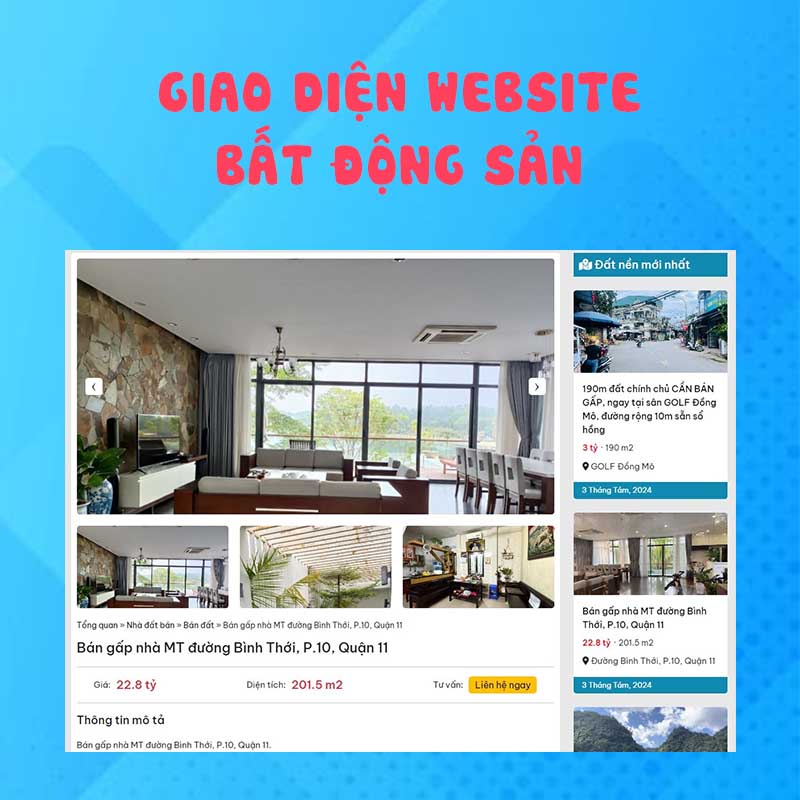 WP Dev – Advanced WordPress Developer